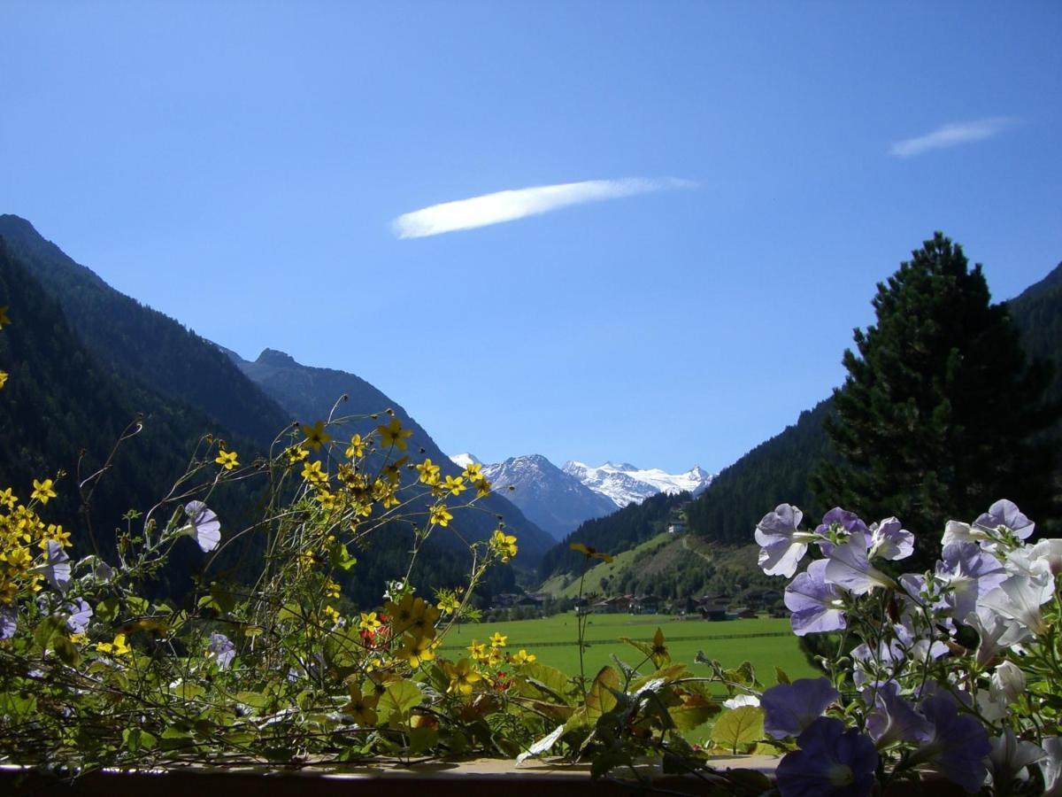 Landhaus Hofer Neustift im Stubaital Exterior foto